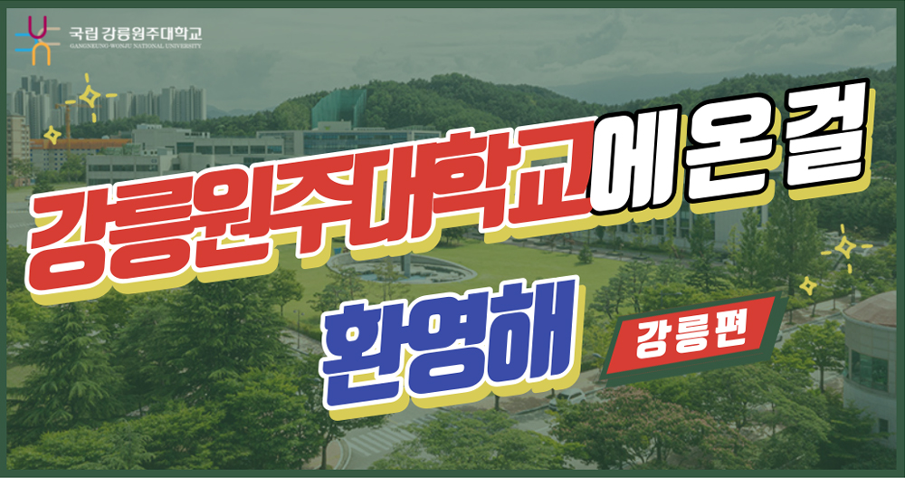 비디오 사진
