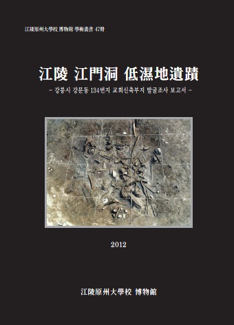 강릉 강문동 저습지유적 (2012) 대표이미지